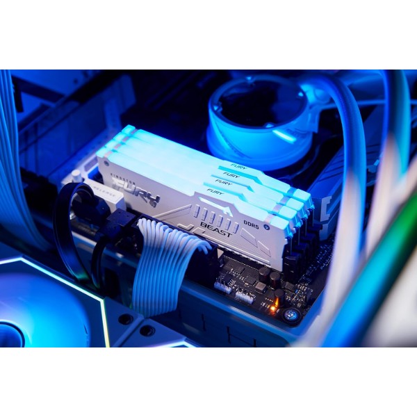 Фото - Память DDR Kingston DDR5 16GB 6000 FURY Beast GB EXPO (KF560C36BWE2A-16)